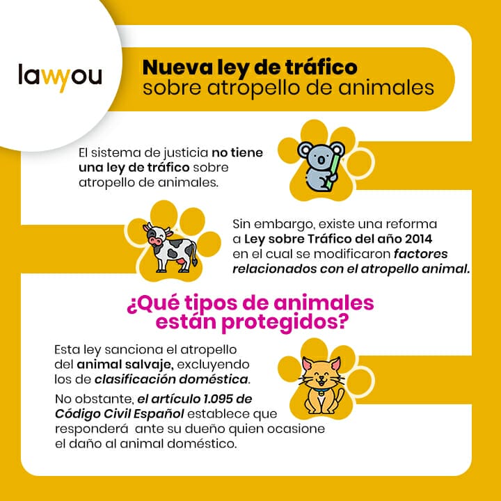 Nueva ley de tráfico sobre atropello de animales